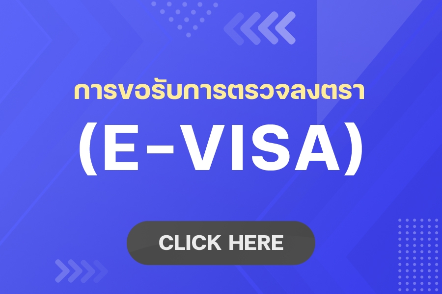 E-visa